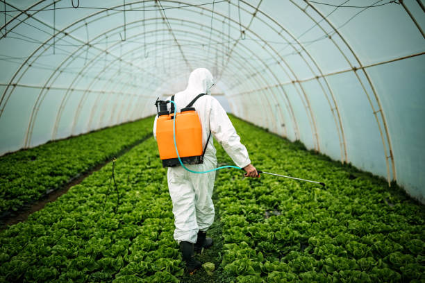 Best Pest Removal Services  in Murfreesboro, AR