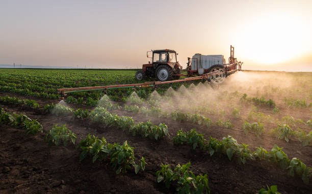 Pest Prevention Services in Murfreesboro, AR