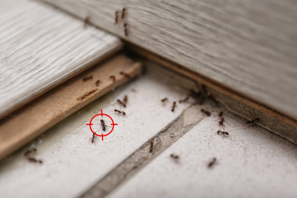 Best Commercial Pest Control Services  in Murfreesboro, AR