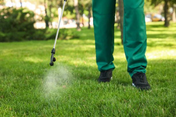 Best Local Pest Control Services  in Murfreesboro, AR