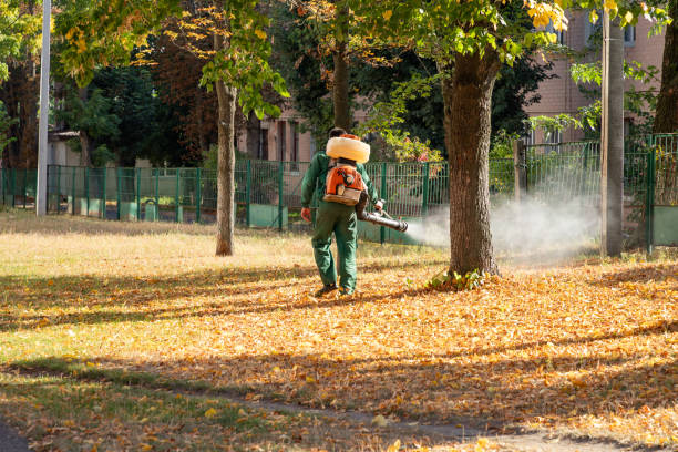 Flea Control Services in Murfreesboro, AR