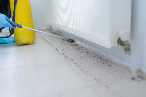 Reliable Murfreesboro, AR Pest Control Solutions